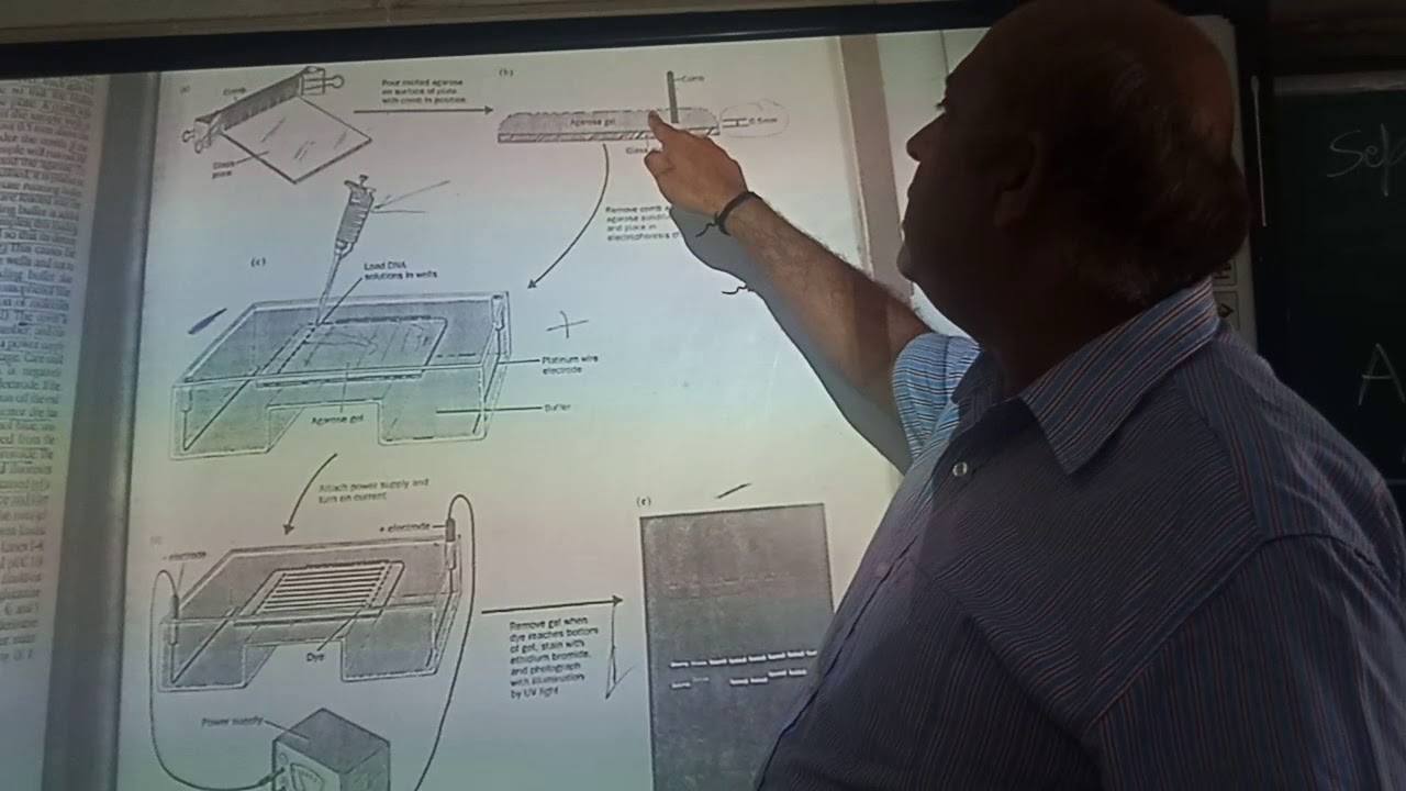 Lecture 4 : Separation & Isolation of DNA fragments,Agrose Gel Electrophoresis,Elution