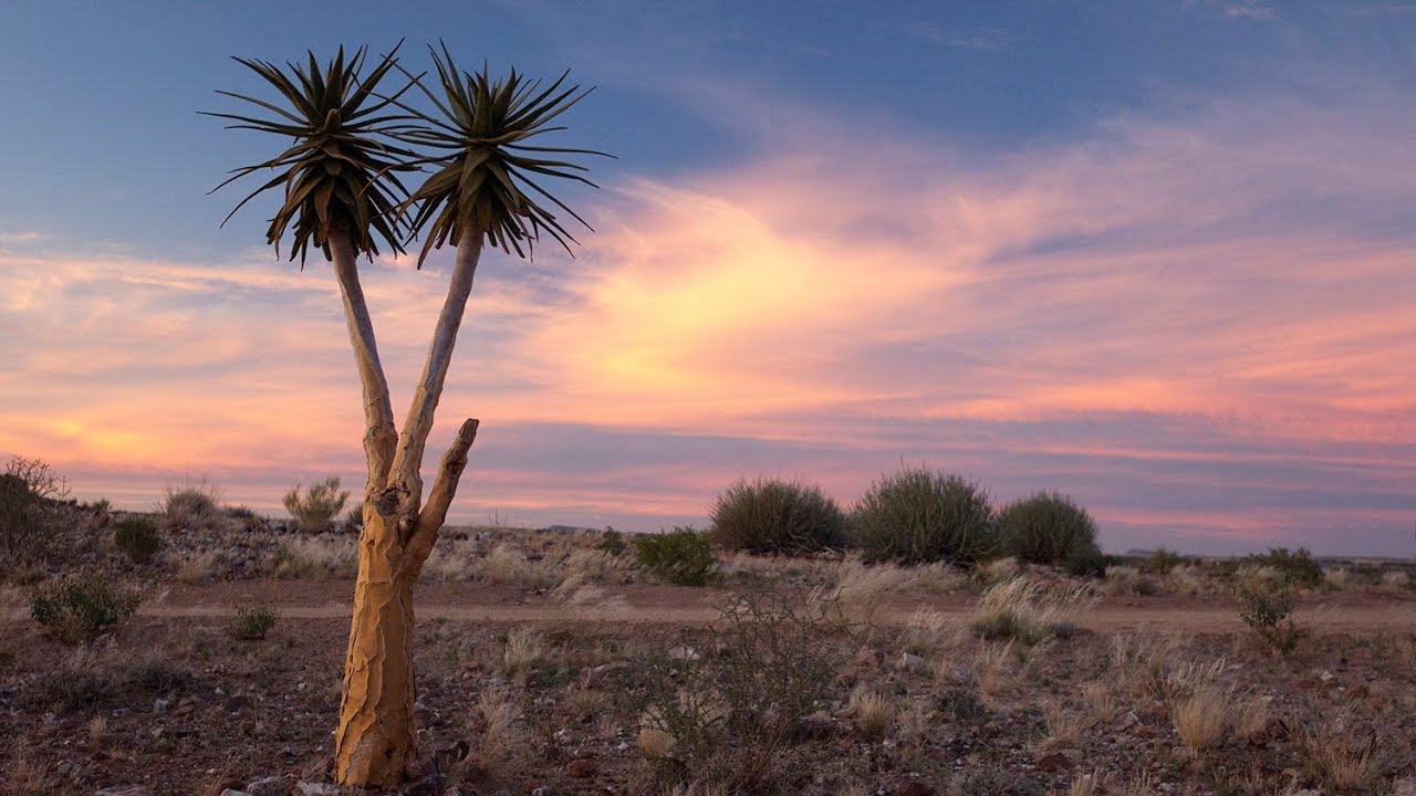 Mietwagen-Reise Northern Cape