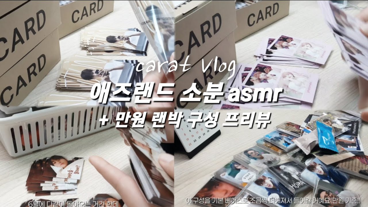 [캐럿 브이로그] 콘서트 티켓팅 제발 | asmr | 도무송 | 세븐틴 | 랜박 | 번장 |