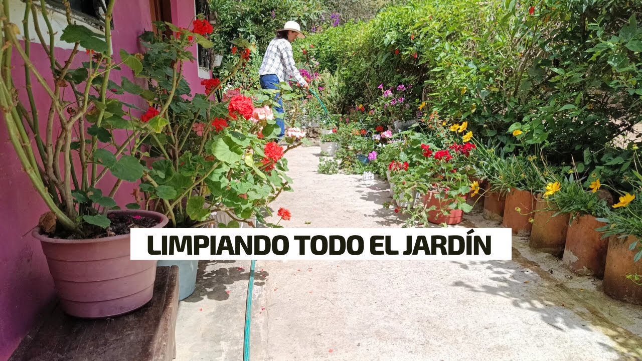 LIMPIEZA PROFUNDA EN TODO EL JARDÍN todo quedo mas bonito | Jardín Diaz