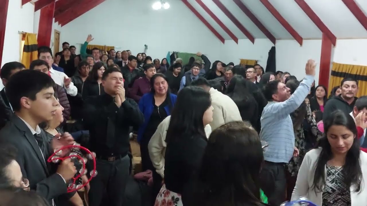 IEUCmafil,huallizada,choshuenco,concepción,purranque,osorno,trespino,río bueno,temuco,pitrufquen