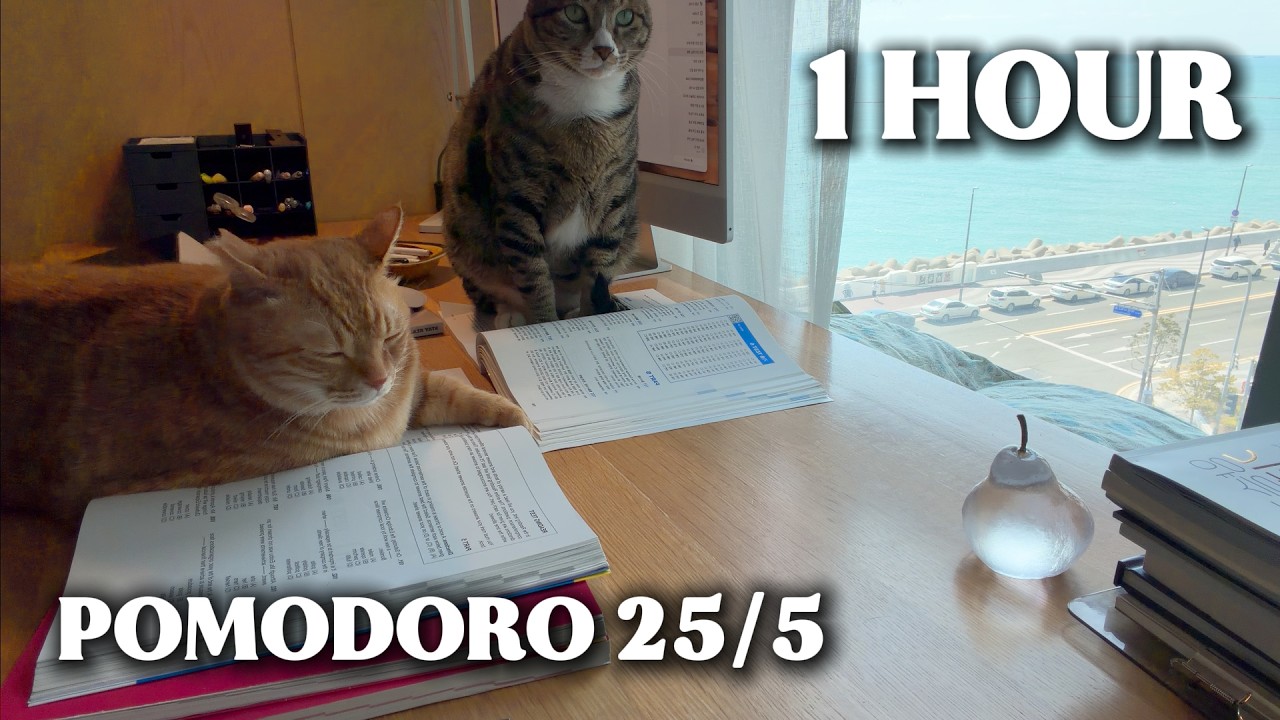 Study With Natural Sounds 🌿ㅣ1 Hour Pomodoro (25/5)ㅣReal Time StudyㅣPiano Breakㅣ🐈 🐈‍⬛ 1시간 집중