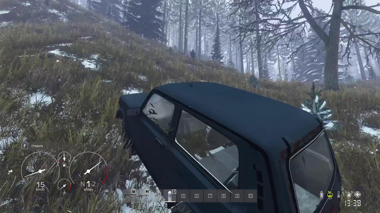 dayz