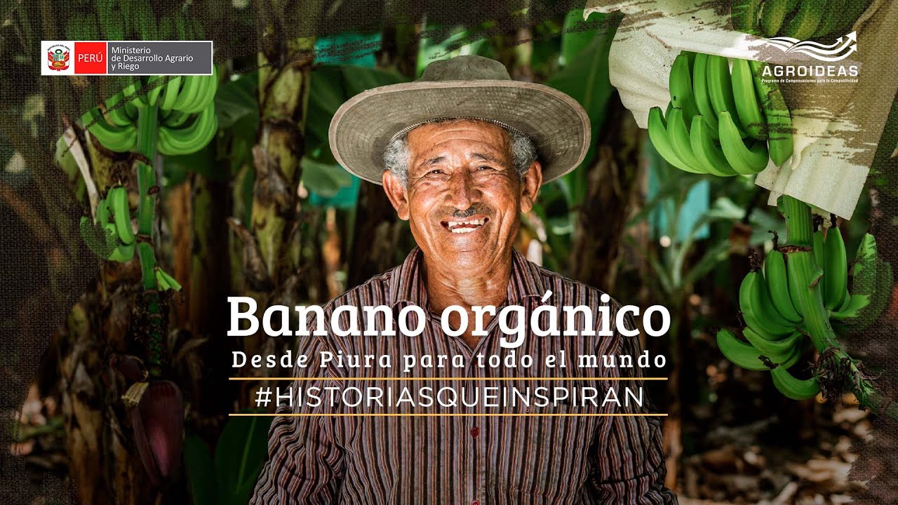 #HistoriasQueInspiran - Banano orgánico para el mundo.