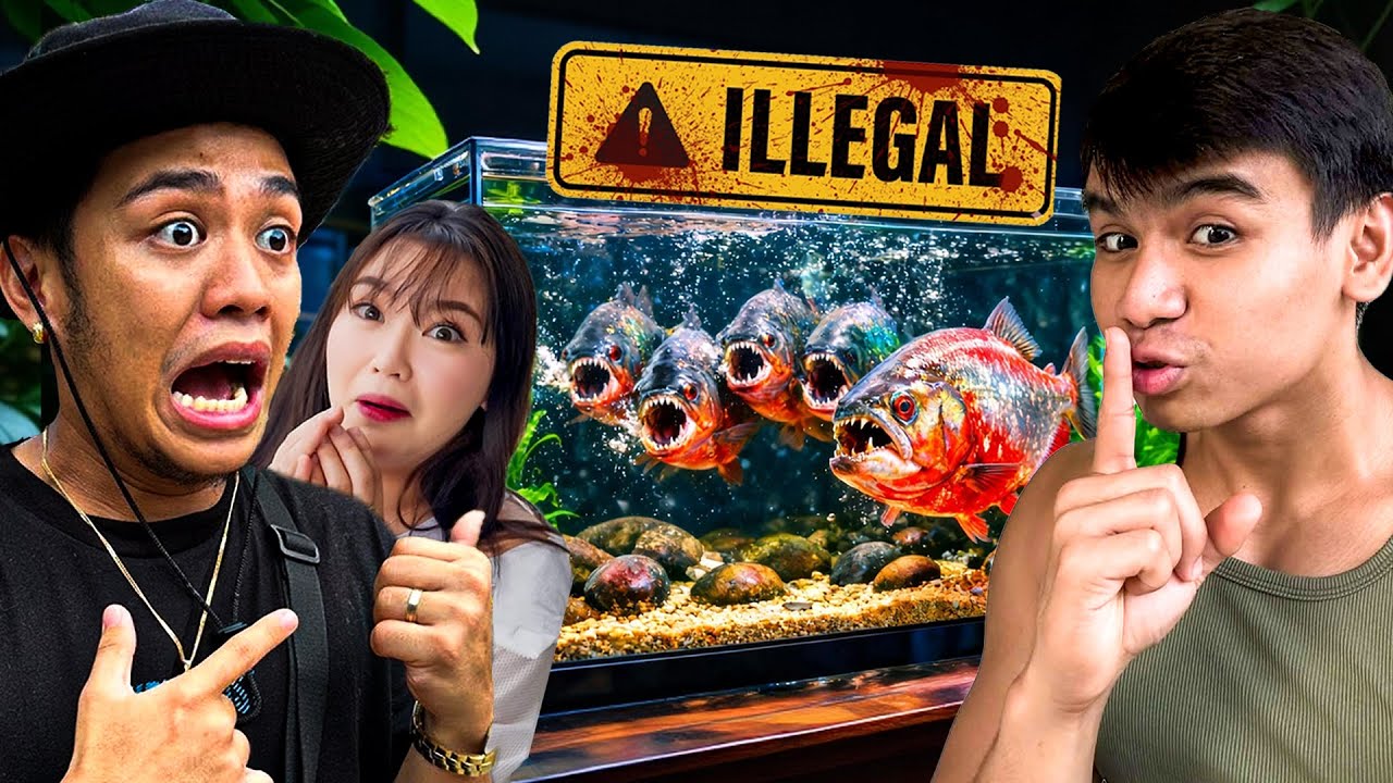 ILLEGAL PIRANHA sa BG HOUSE - PRANK