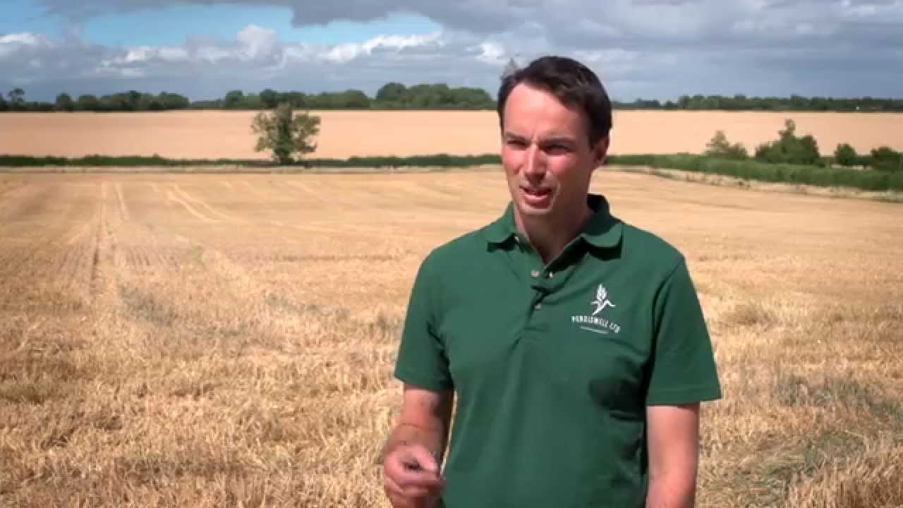 James Price, Red Tractor wheat farmer