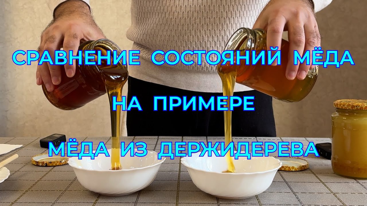 Сравнение состояний мёда на примере мёда из Держидерева