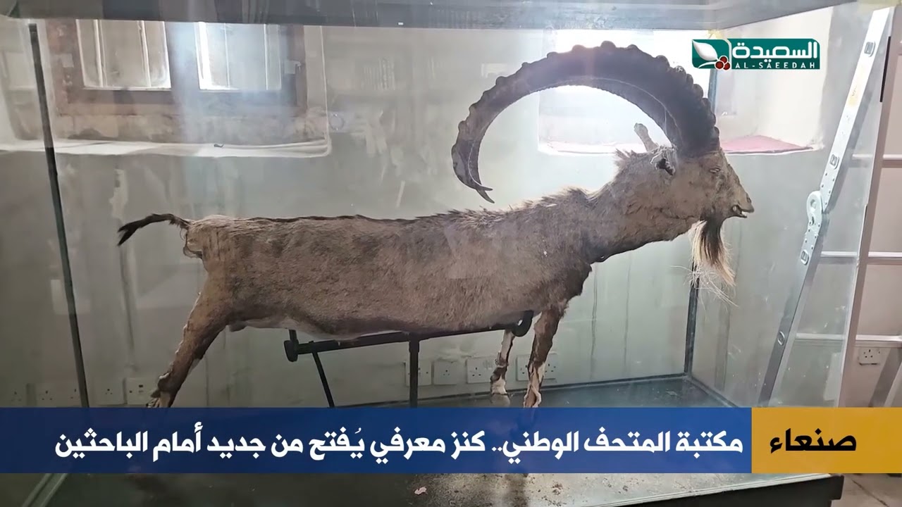 كنز معرفي يعود للحياة.. مكتبة المتحف الوطني في صنعاء تفتح أبوابها من جديد!