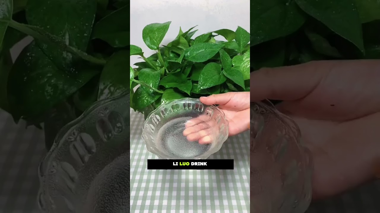 Секретные лайфхаки для растений! 🌿 Яичная вода, сахарная вода и многое другое для быстрого роста!...