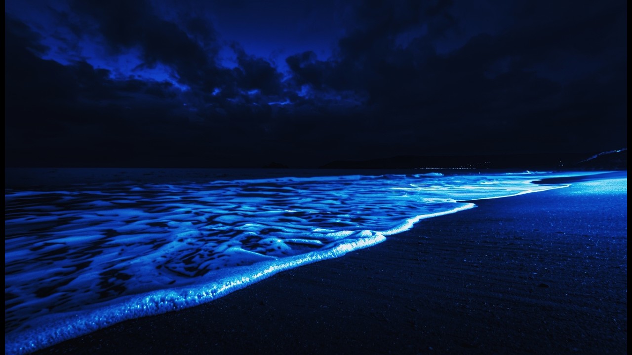 Sleep Soundly All Night - Midnight Ocean Waves for Deep Relaxation