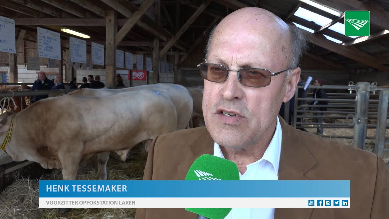 Natuurlijke geboorte belangrijk onderwerp stierenveiling