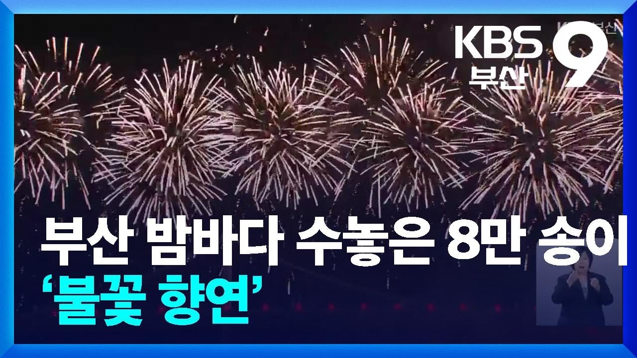 부산 밤바다 수놓은 8만 송이 ‘불꽃 향연’ / KBS  2024.11.09.