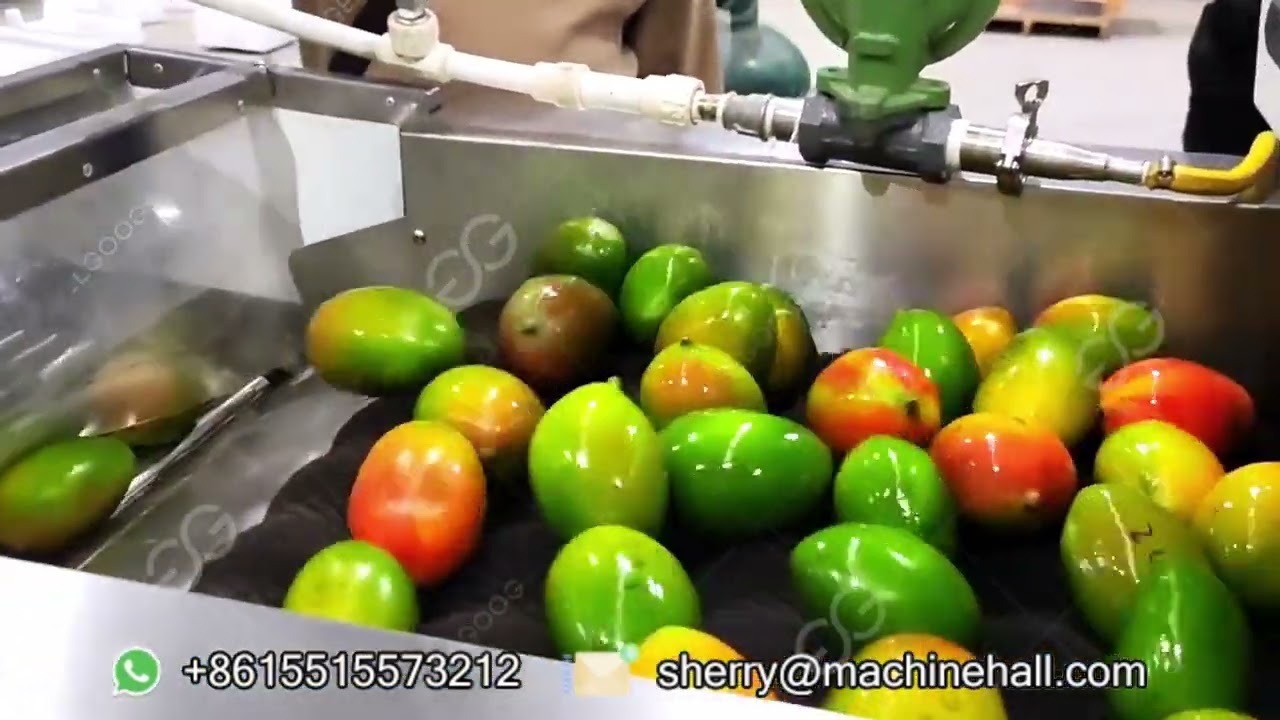 Mango Sorting And Grading Machine