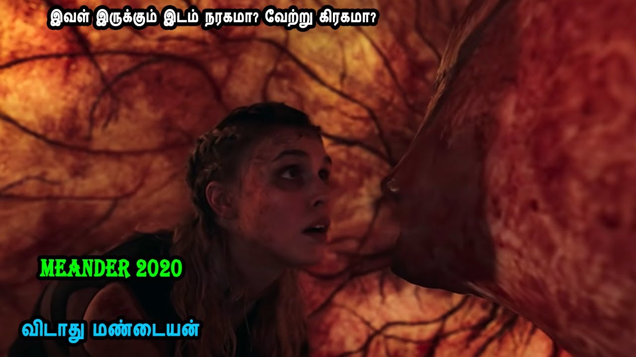 இவள் இருக்கும் இடம் நரகமா? வேற்று கிரகமா? - Tamil Dubbed Reviews & Stories of movies