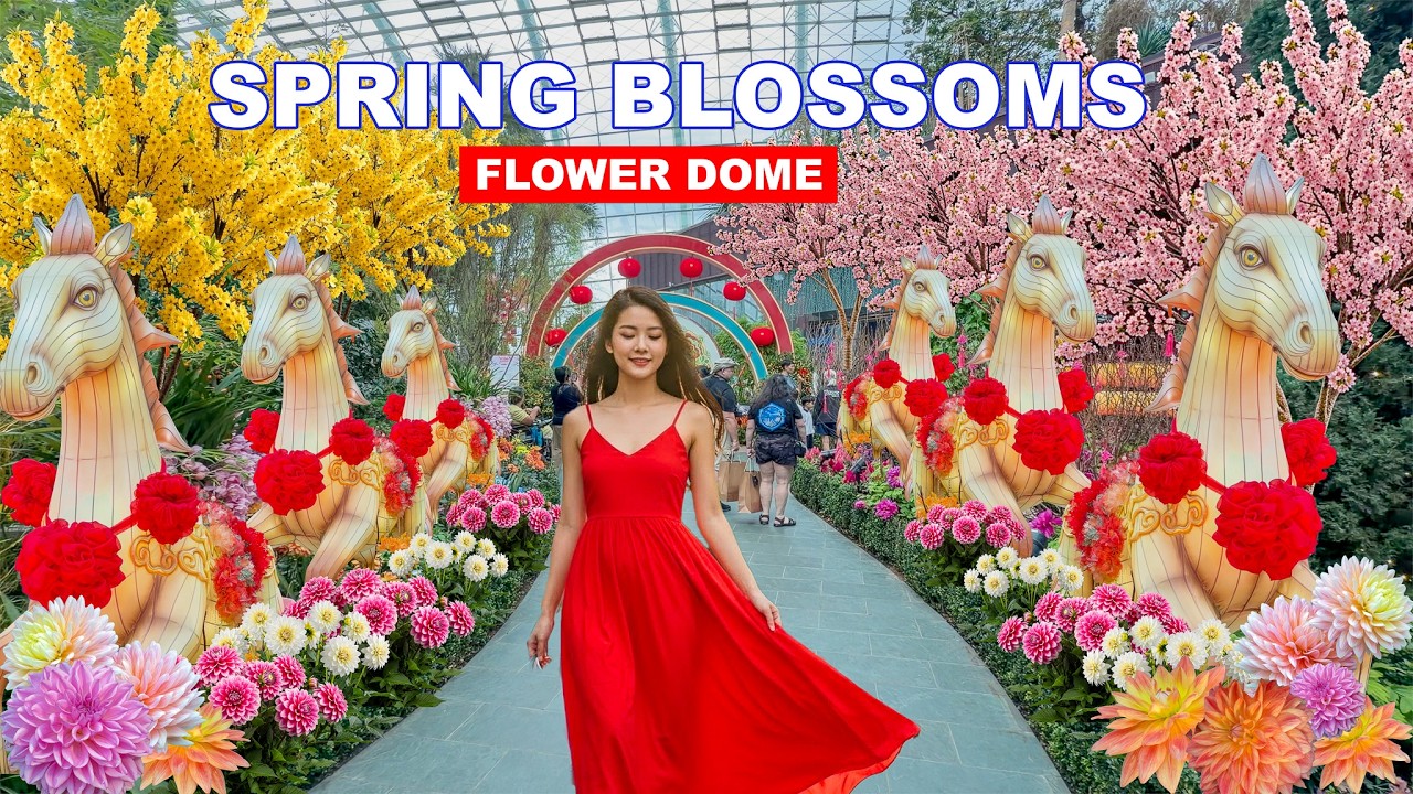 🌸 Singapore Flower Garden Tour 2026 | Flower Dome Spring Blossoms Gallop into Prosperity🇸🇬🌼🏮