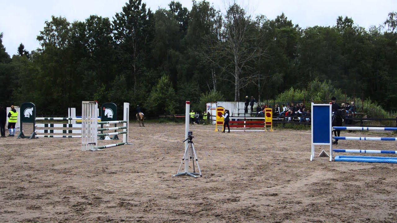 Ozzy MSV B Ale Jennylund