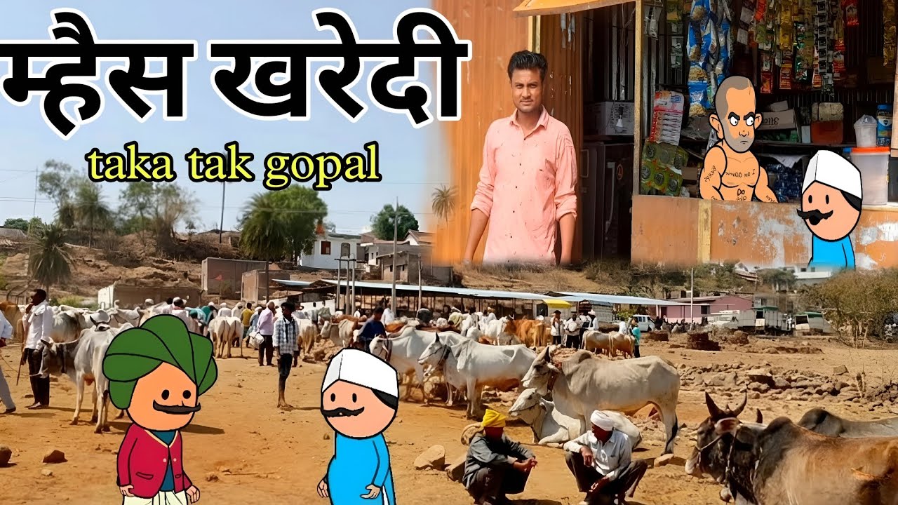 म्हैस खरेदी | episode 1| Taka Tak gopal | हसून हसून पोट दुखल |#comedy #funny #gavthi#vidarbhacomedy 