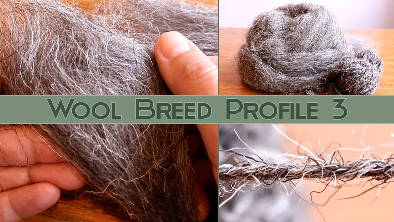 Hand Spinning Different Breeds: Herdwick Wool Profile