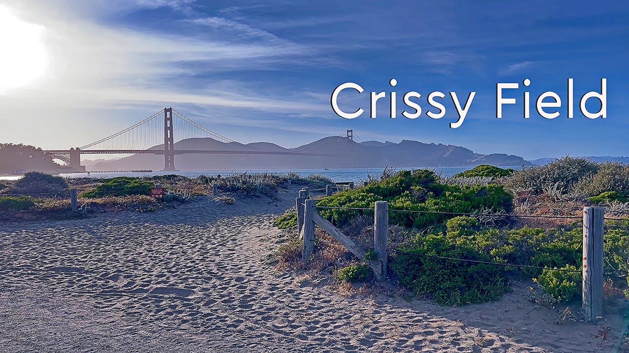Crissy Field, San Francisco | 4K - HDR  60 fps | Windy Walk at Sunset 🌬️