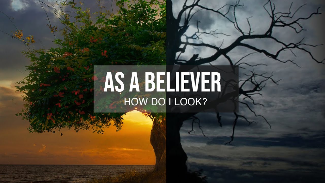 March 20, 2021 - As A Believer...How Do I Look?