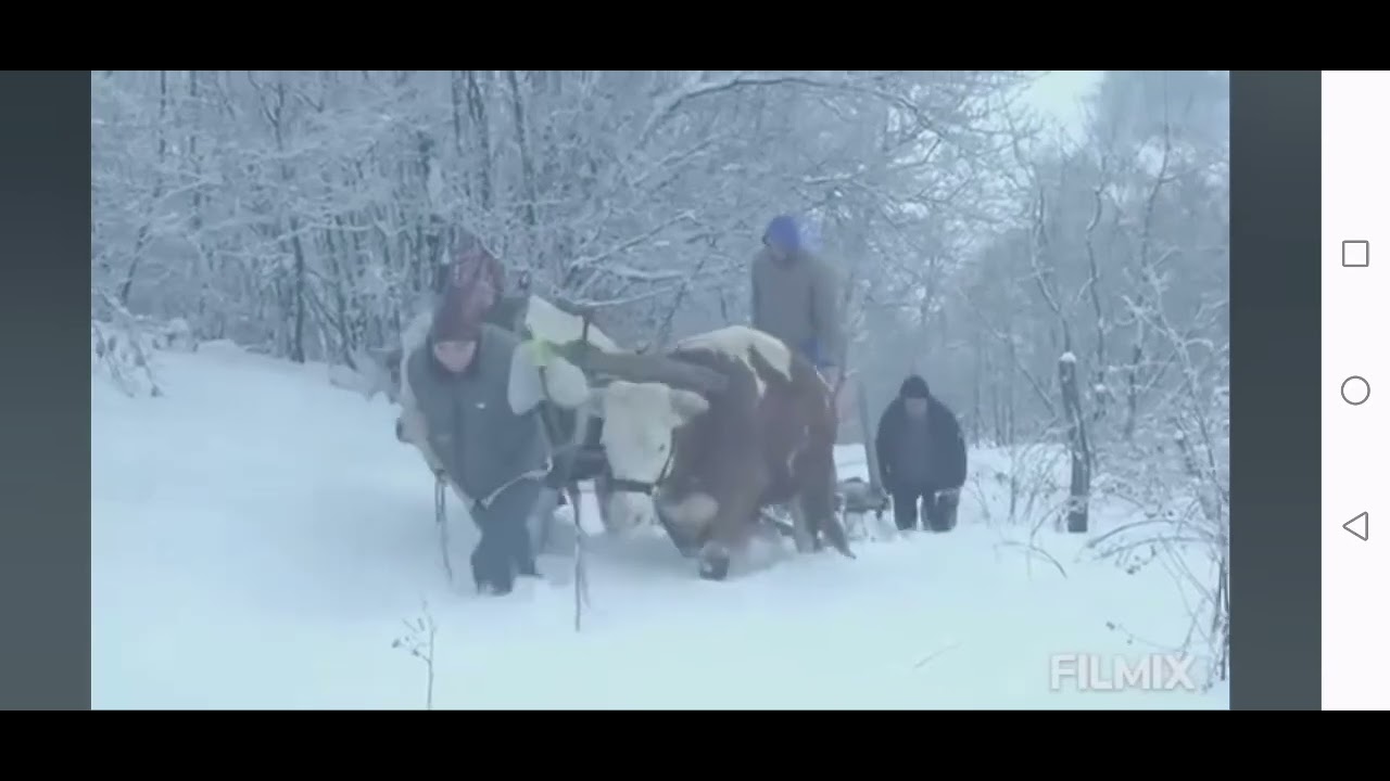 Pjesma u kojoj je text pjesme otpjevan za vrijeme na&scaron;ega djetinjstva. Svaka čast za najljep&scaron;u pjesmu