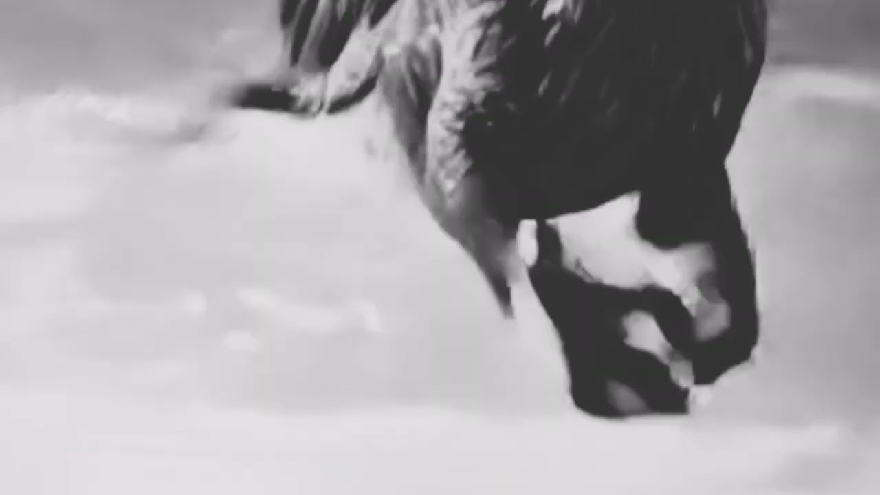 A Hybrid of an eagle and a lion, combining sharp talons,