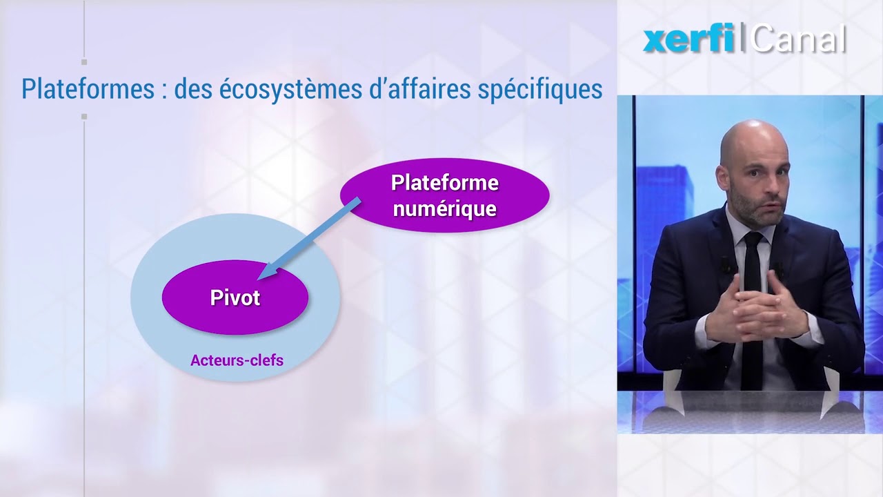 Comprendre les &eacute;cosyst&egrave;mes d&rsquo;affaires [Philippe Gattet]