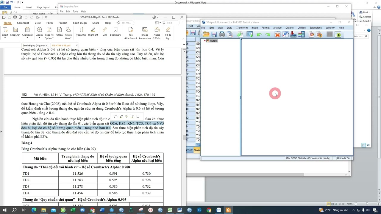 Hướng dẫn SPSS- Kiểm định độ tin cậy của thang đo qua hệ số Cronbach’s Alpha | Các yếu tố ......