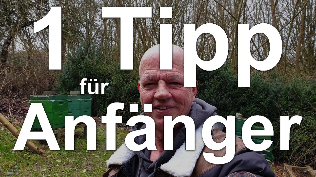 Ein Tipp f&uuml;r Anf&auml;nger Imker! Fangt einfach an - Bienen - Engfer speakt? ;)