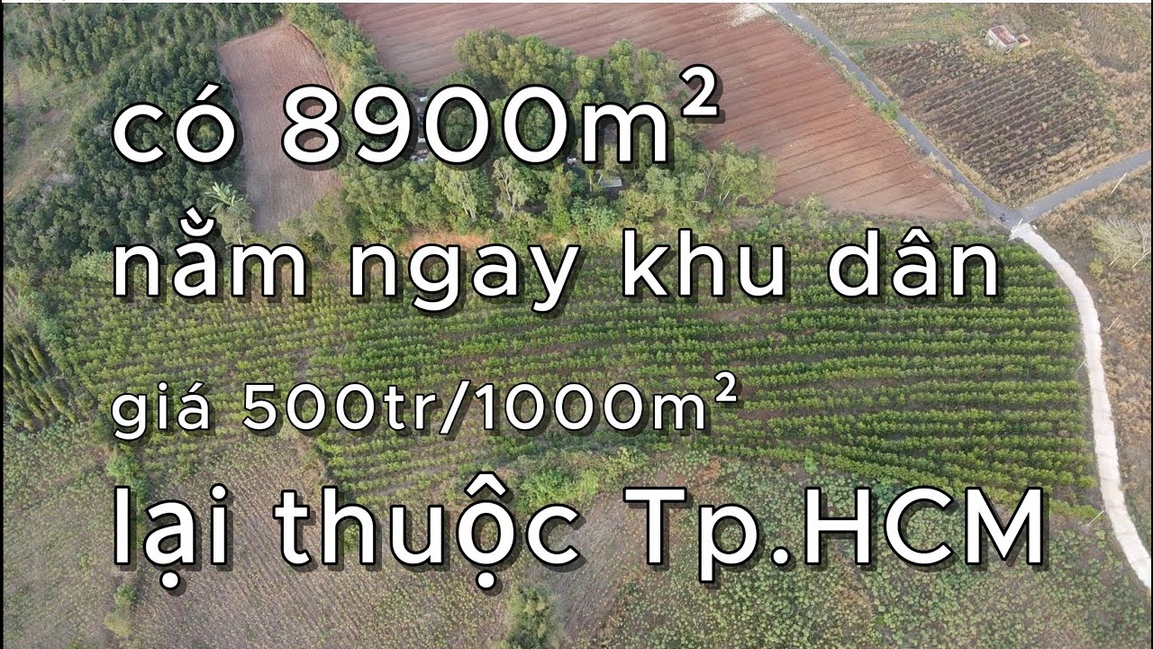 Tại Châu Đức mà còn lô đất sào giá rẻ như này a/c xem hết gọi em ngay