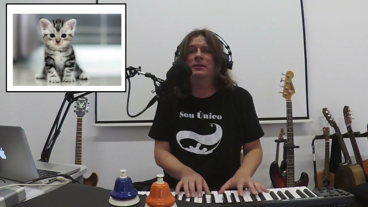 Aquarium Project:  Canção do Gatinho Nini