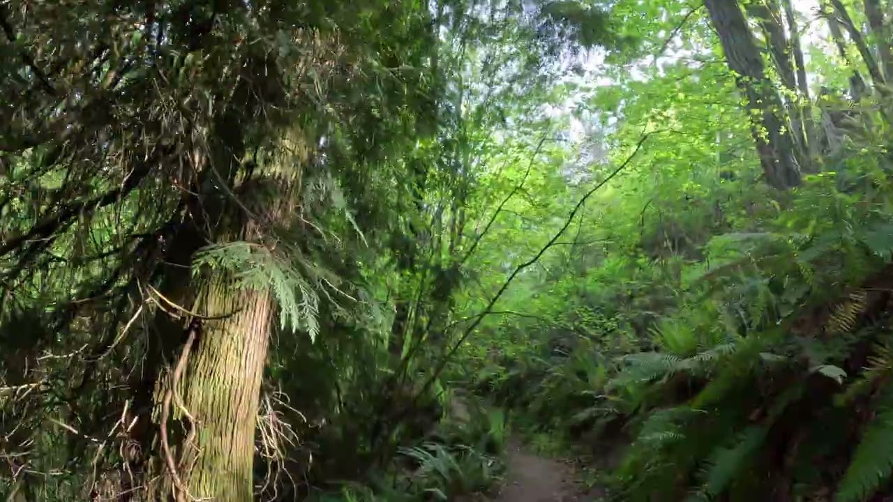 Hermosa naturaleza 