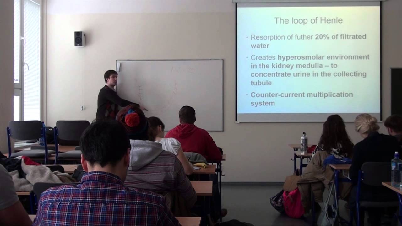 Biochemical aspects of kidney function (HD)