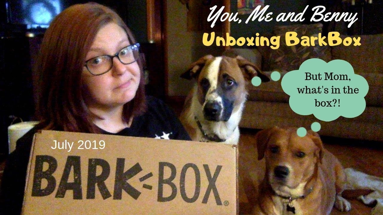 July 2019 BarkBox Opening!