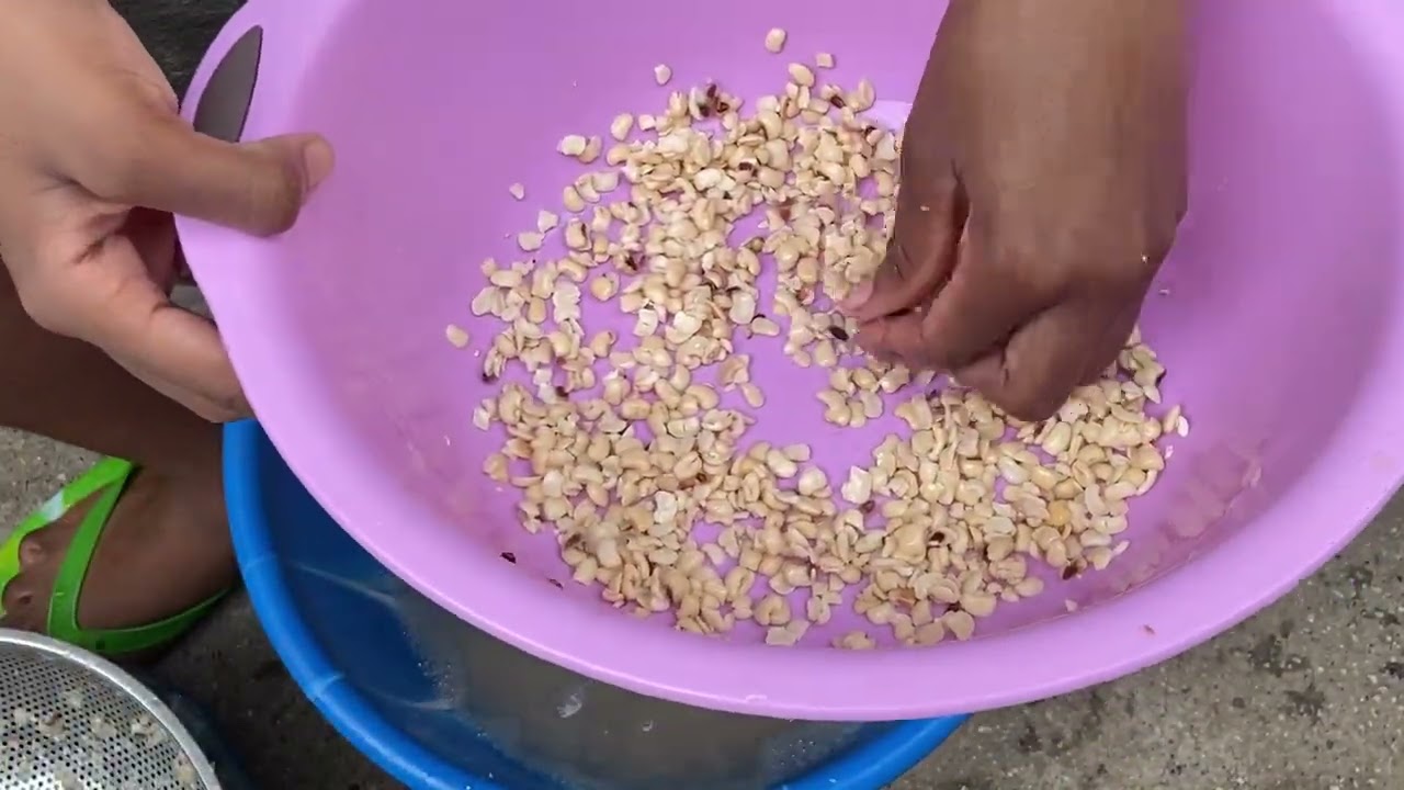 Old vlog from April 2024. Moimoi my way🧅