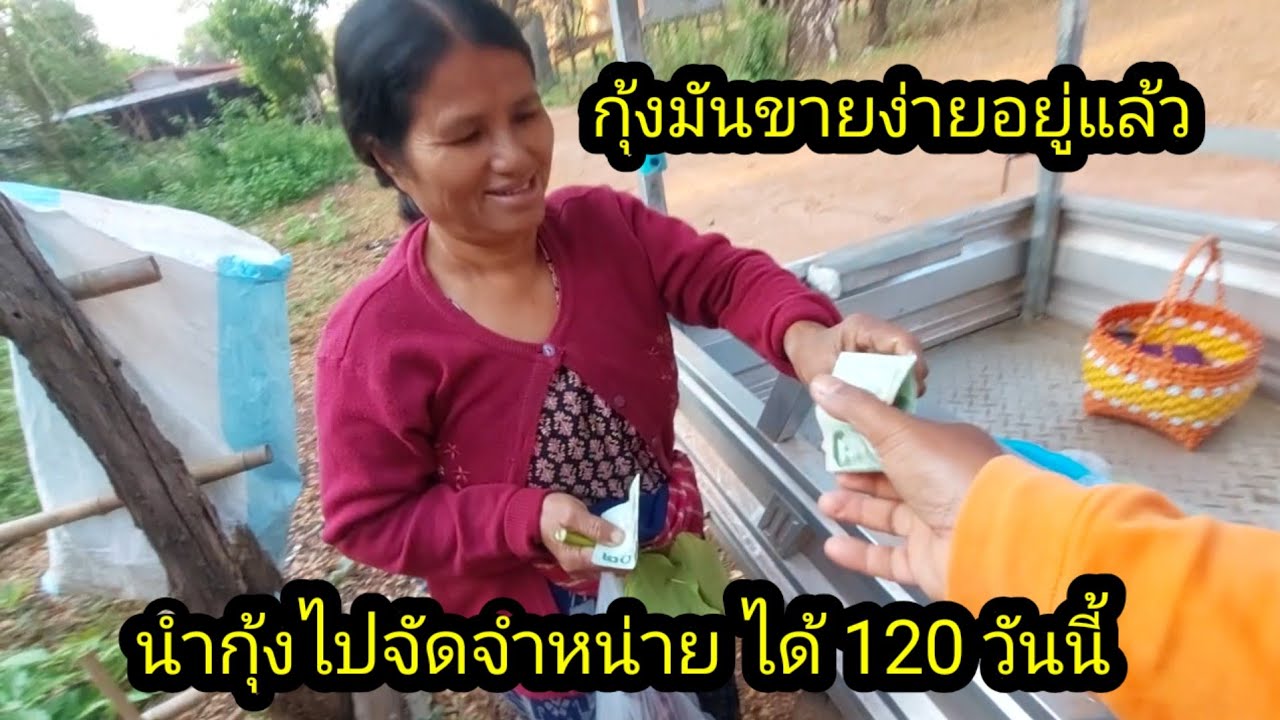 นำกุ้งไปขาย วันนี้ได้ไม่เยอะ ได้ 120 บาทรายได้เสริม#จิตอาสา 