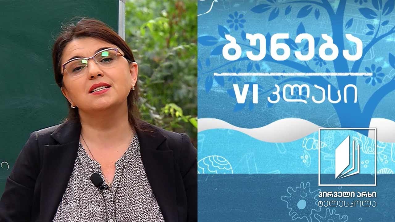 ბუნება, VI კლასი - ჩონჩხი და კუნთები #ტელესკოლა