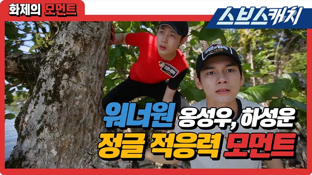 워너원 옹성우·하성운의 정글 적응력 모먼트! 《정글의 법칙 / 화제의 모먼트 / 스브스캐치》
