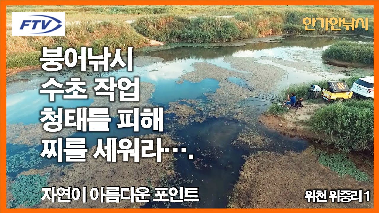 [FTV 한가한낚시] 붕어낚시 수초 작업 청태를 피해 바닥이 깨끗한 곳에 찌를 세워라 - 자연이 아름다운 붕어낚시 포인트 - 위천 위중리1