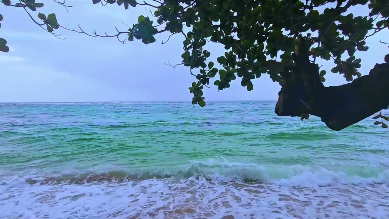 Real Ocean Sounds ASMR | Beach Ambience for Deep Sleep & Focus