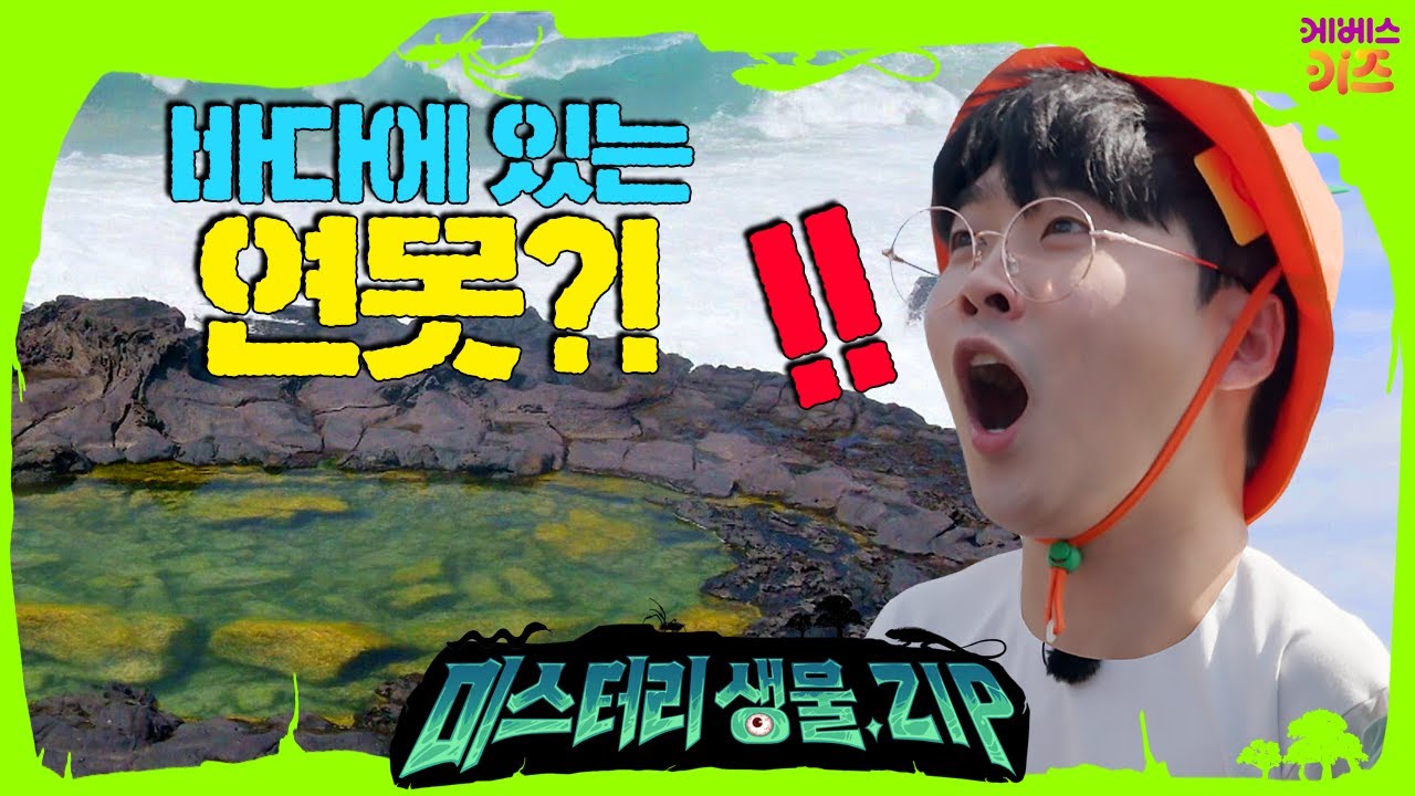 넓고 넓은 바다, 바다에도 연못이 있다고?ㅣ조수웅덩이 1회ㅣ딱개비ㅣ군부ㅣ미스터리생물집ㅣ꾹tvㅣKBS 221006 방송