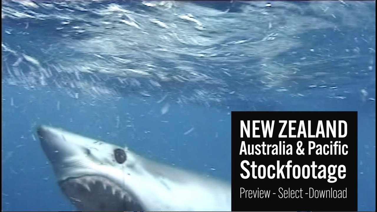 New Zealand's Best Stock Video For Content Creators