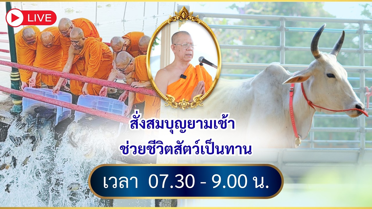 15 / 4 / 2569 ช้านี้ วันดี ที่ 15 เมษายน 2569 สั่งสมบุญยามเช้า ช่วยชีวิตสัตว์เป็นทาน