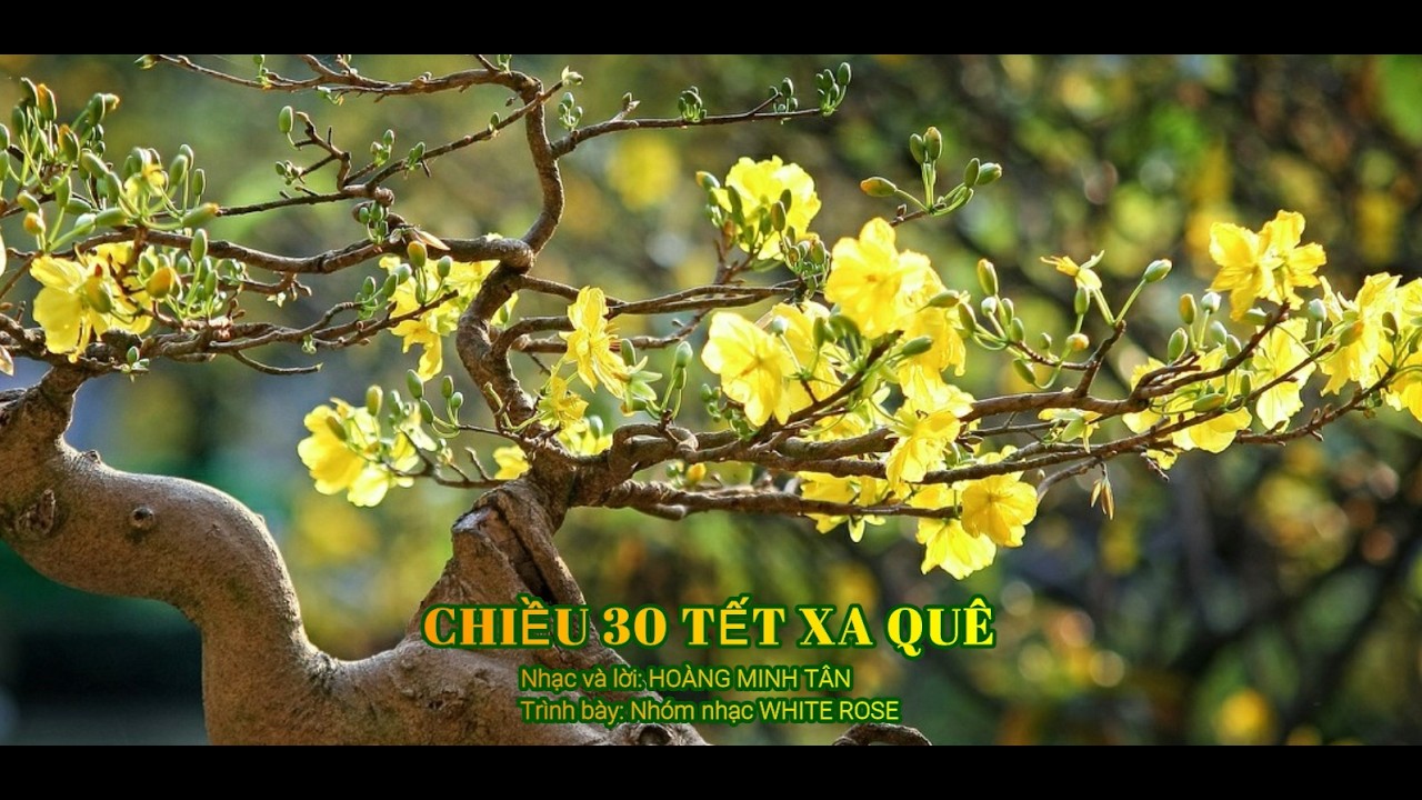 CHIỀU 30 TẾT XA QUÊ