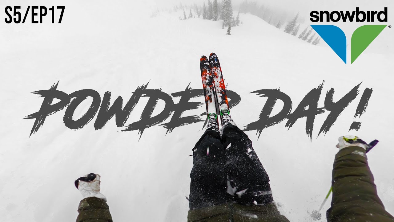 Майский день POWDER в SNOWBIRD!