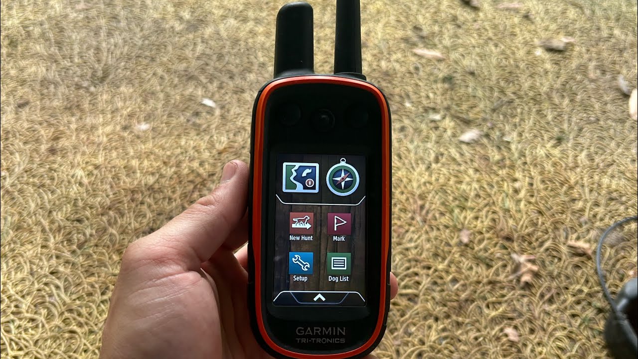 How to SHOCK and BEEP on the Garmin Alpha 100