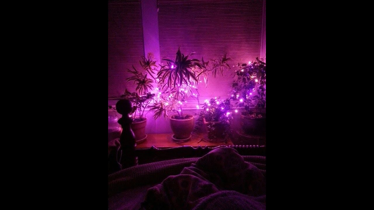 솔로지옥5 5화 리뷰 - [남자asmr/일기]