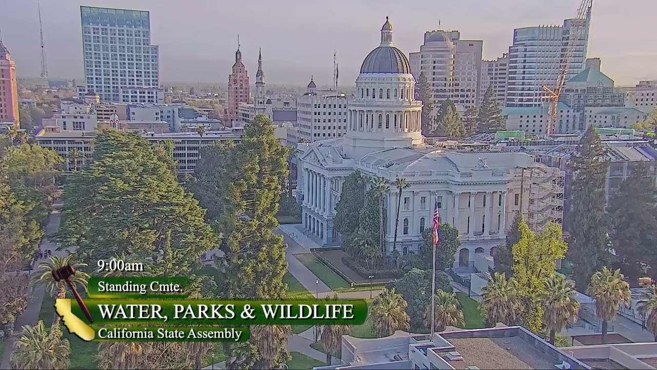 Assembly Water, Parks, and Wildlife Committee Meeting 03.10.2026 (via California State Assembly)