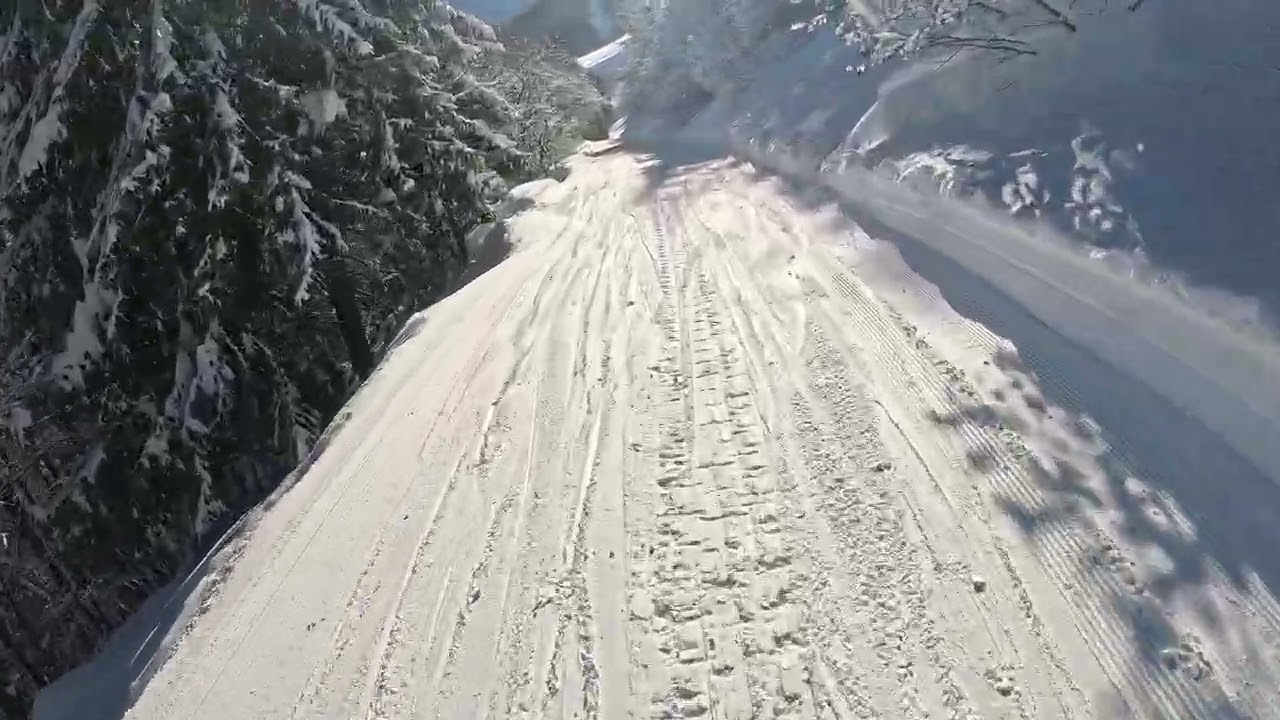 LIMONE SEGRE_05022026