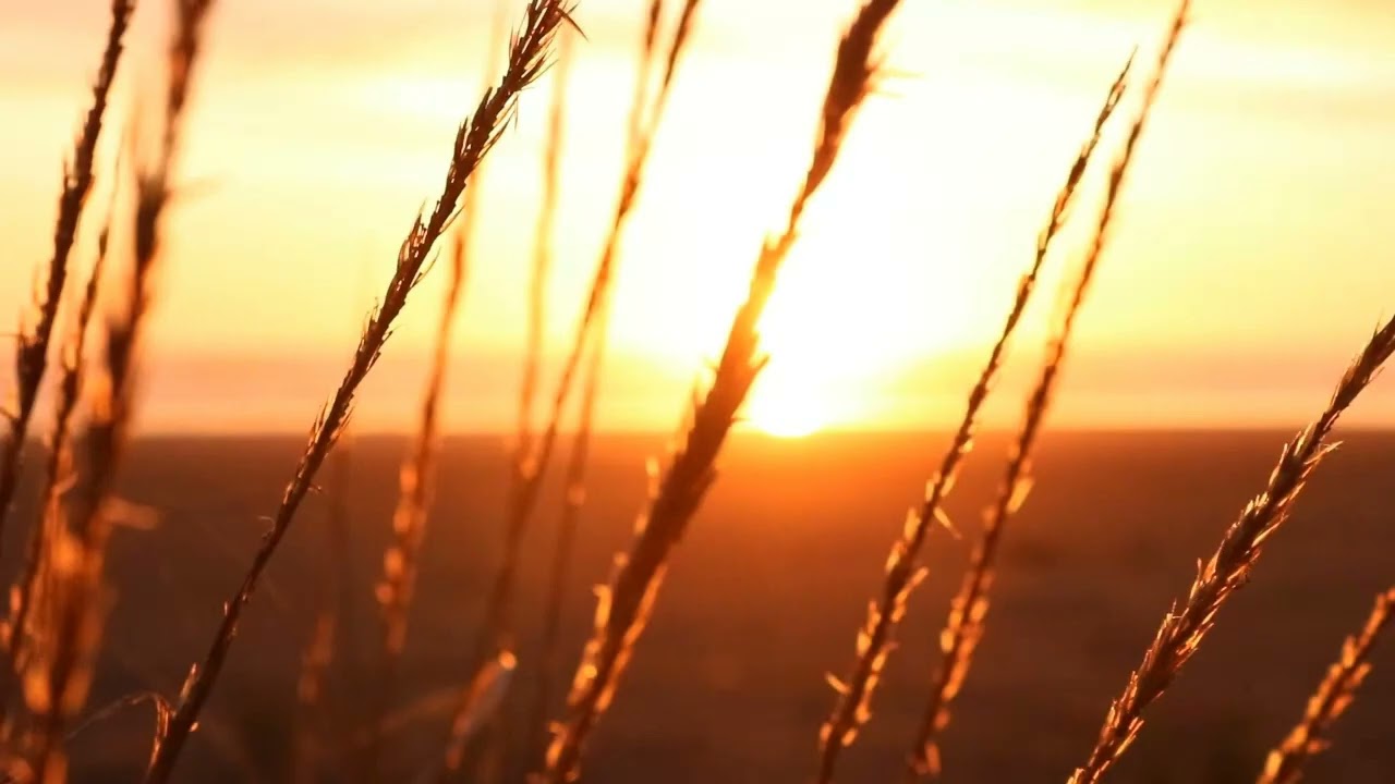 RELAXING WITH N SOFT PIANO MUSIC